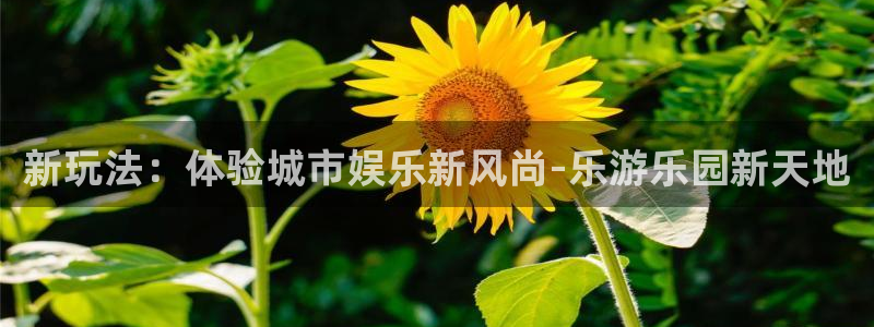 红足1世足球手机版：新玩法：体验城市娱乐新风尚-乐游乐园新天地