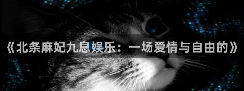 红足1世足球网页版入口