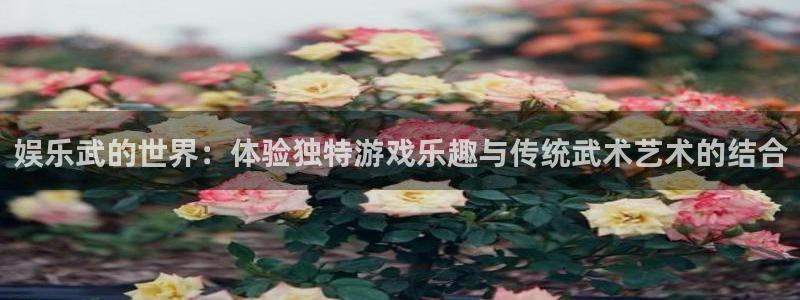 红足1世足球手机版