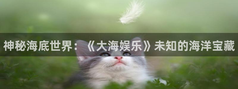 红足1世足球网